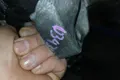 Подушка двигателя Mazda 6 GH ЛИФТБЕК L5 2009 (б/у) — фото 2