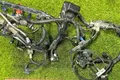 Проводка ДВС Honda Accord 8 K24A 2010 (б/у) — фото 4