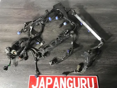 Проводка ДВС Honda Accord 8 K24A 2009 (б/у)