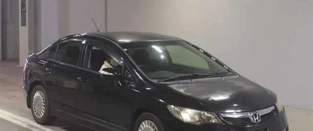 Honda Civic 2010